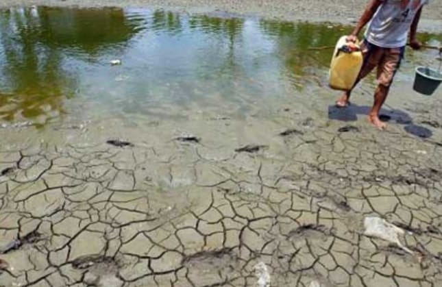 Ngeri! El Nino Picu Kemarau Panjang dan Inflasi, Ini yang Dilakukan Pemerintah