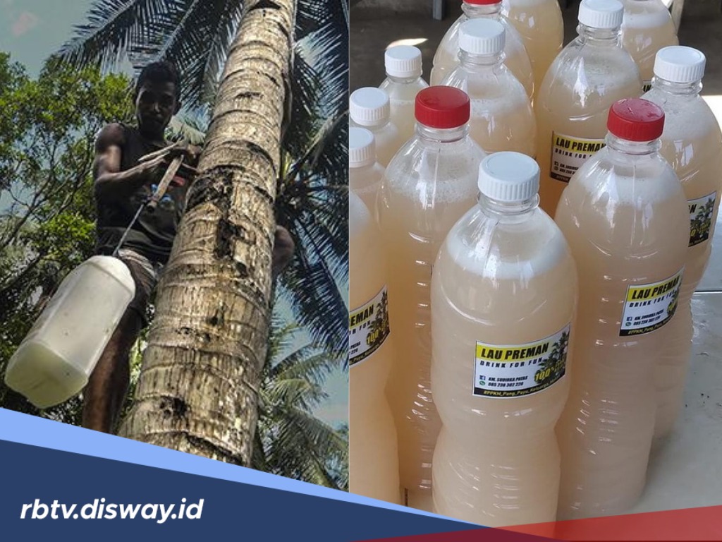 10 Manfaat Tuak Manis untuk Kesehatan, dari Obat Penenang hingga Pelancar Sistem Pencernaan