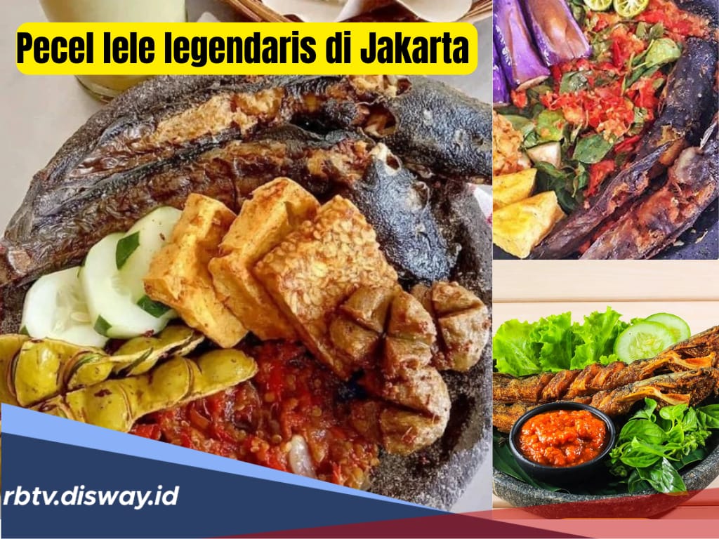 7 Rekomendasi Pecel Lele Legendaris di Jakarta, Harga Mulai Rp 15 Ribuan, Awas Ketagihan