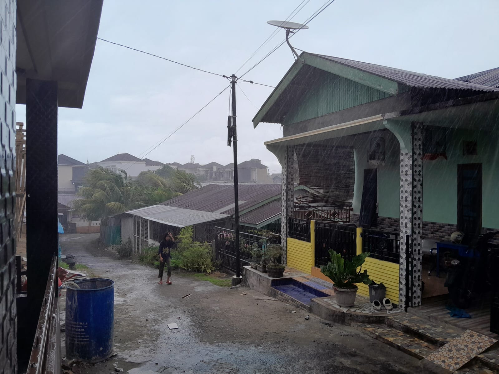 BMKG Bengkulu Keluarkan Peringatan Dini Cuaca Ekstrem, Daerah Ini Waspada Hujan Petir dan Angin Kencang