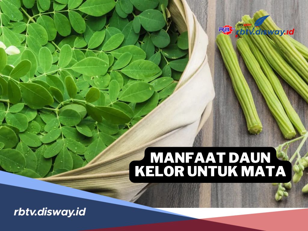 Baru Tahu, Ternyata Ini 4 Manfaat Daun Kelor untuk Kesehatan Mata