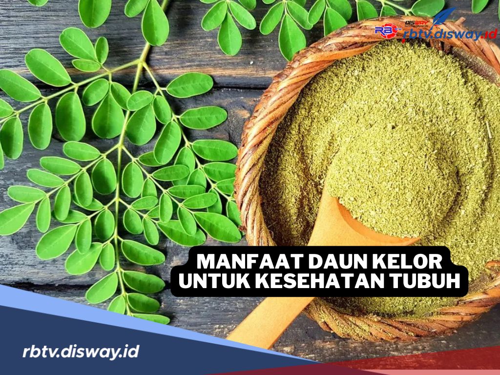 9 Manfaat Luar Biasa Daun Kelor untuk Kesehatan Tubuh, Begini Cara Konsumsinya