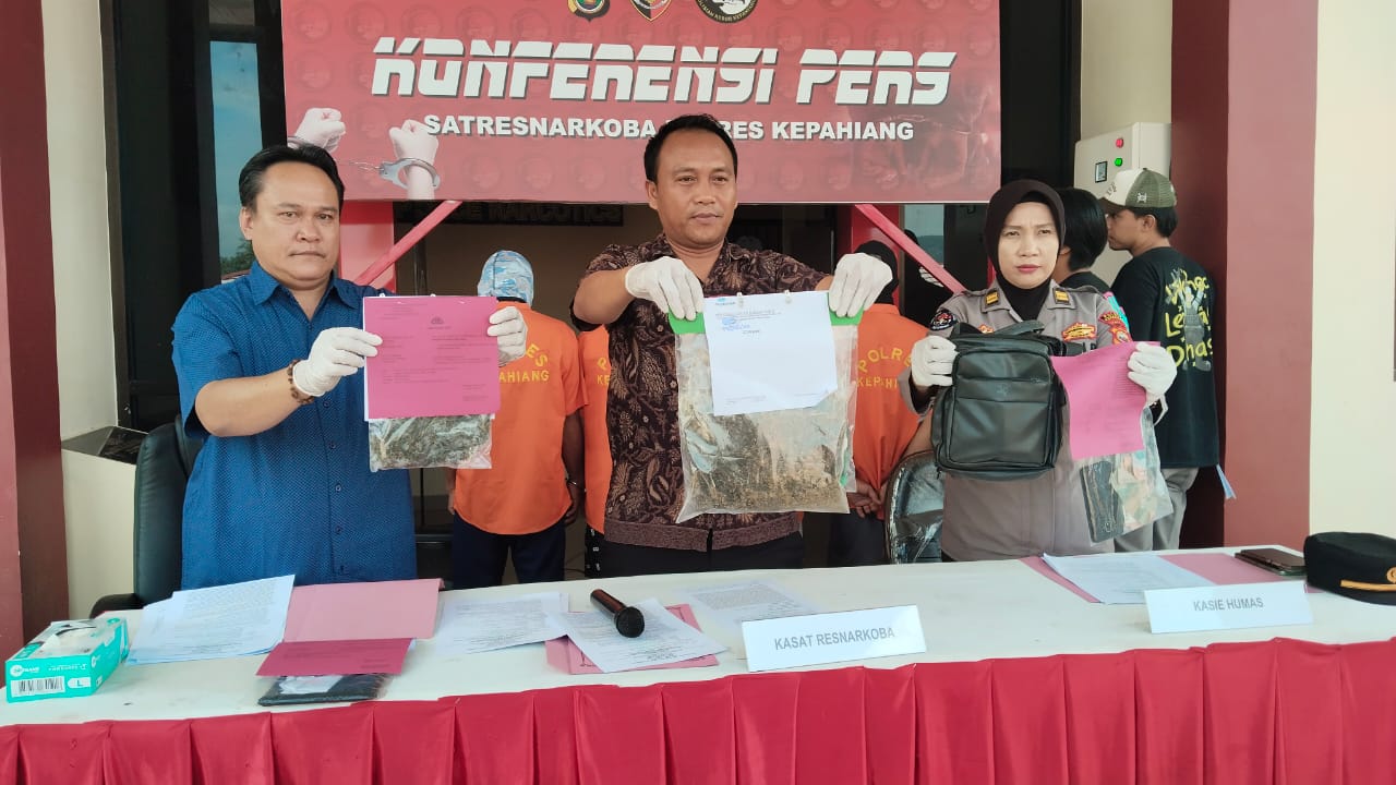 Nahas Bertubi-tubi. Beli Ganja Setengah Kilogram tapi Dapatnya 300 Gram, Pas Pulang Dibekuk Polisi Pula