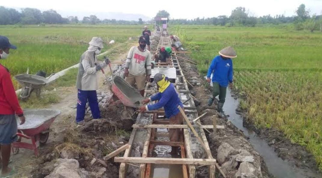 Bukan Bengkulu, Ini Provinsi dengan Gaji Pendamping Lokal Desa Tertinggi di Sumbagsel