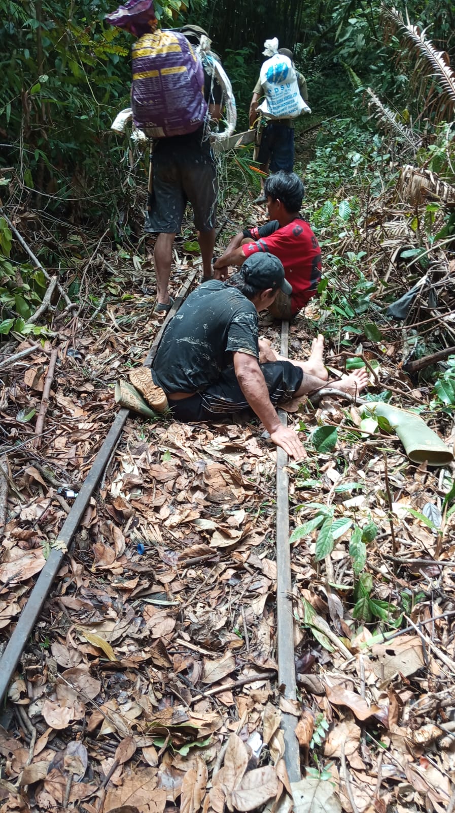 Rel Molek di Lebong Tandai Putus Diterjang Longsor, Gerbong Angkutan Logistik Terjun ke Jurang