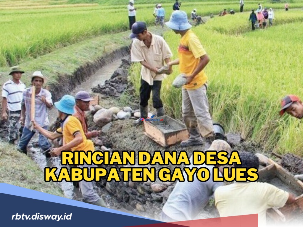 Rincian Dana Desa Kabupaten Gayo Lues, Ini Desa Penerima Alokasi Dana Terbesar di Tahun 2024