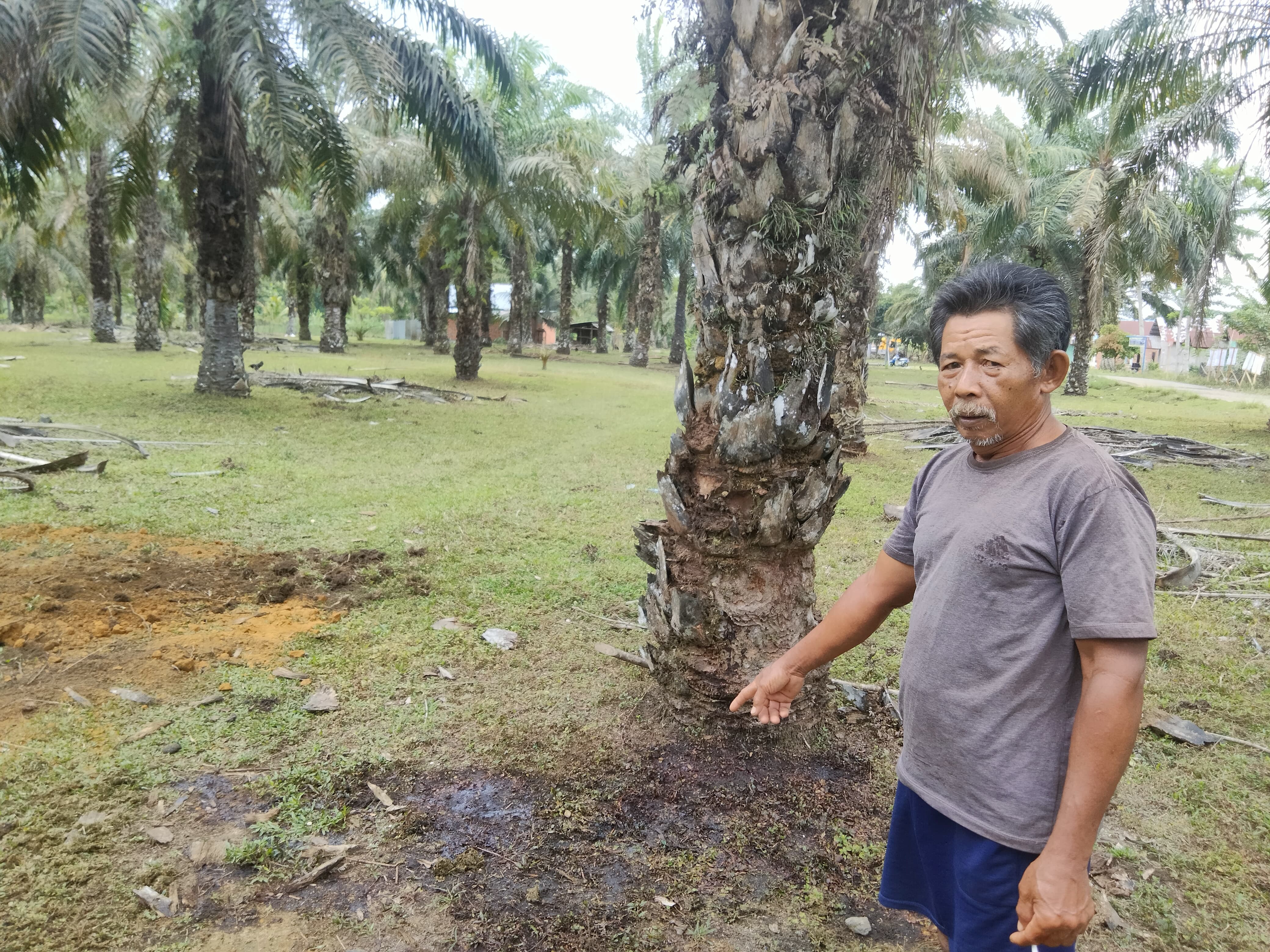 Sapi Betina Milik Petani Ini Dicuri, Semoga Diberi Ganti yang Lebih Baik