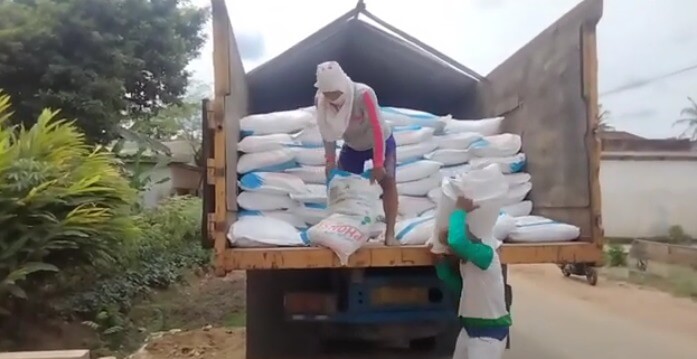 Jumlah Stok Pupuk Subsidi 2025 di Kabupaten Seluma Apakah Aman? Cek Harga Terbarunya