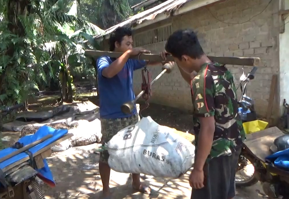 Hasil Panen Karet di Bengkulu Utara Turun, Harga Belum Bergerak Naik