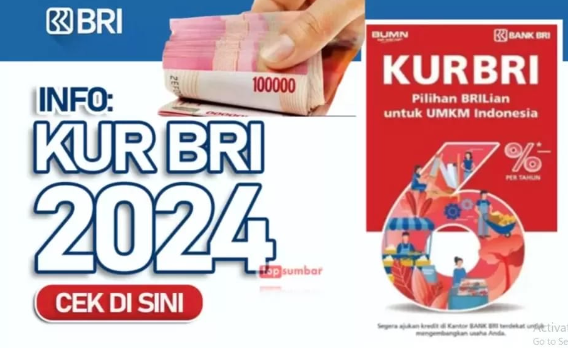 KUR BRI, Jadi Pahlawan Permodalan UMKM Meningkatkan Usaha