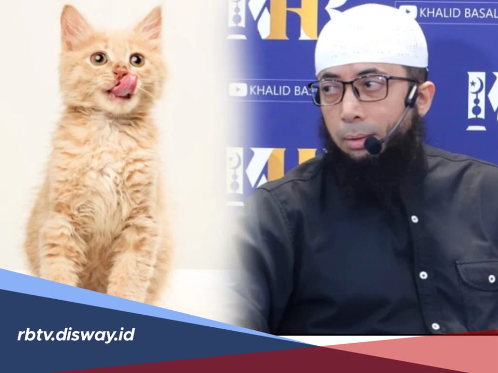 Kata Ustadz Khalid Basalamah, Jangan Pelihara Kucing dalam Rumah, Ini Alasan dan Hukumnya