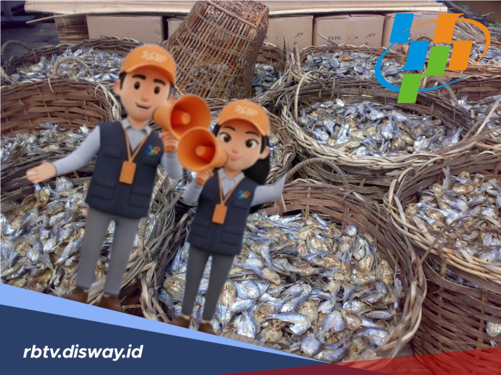 Tugas dan Risiko Mitra Statistik BPS yang Tidak Capai Target Kontrak