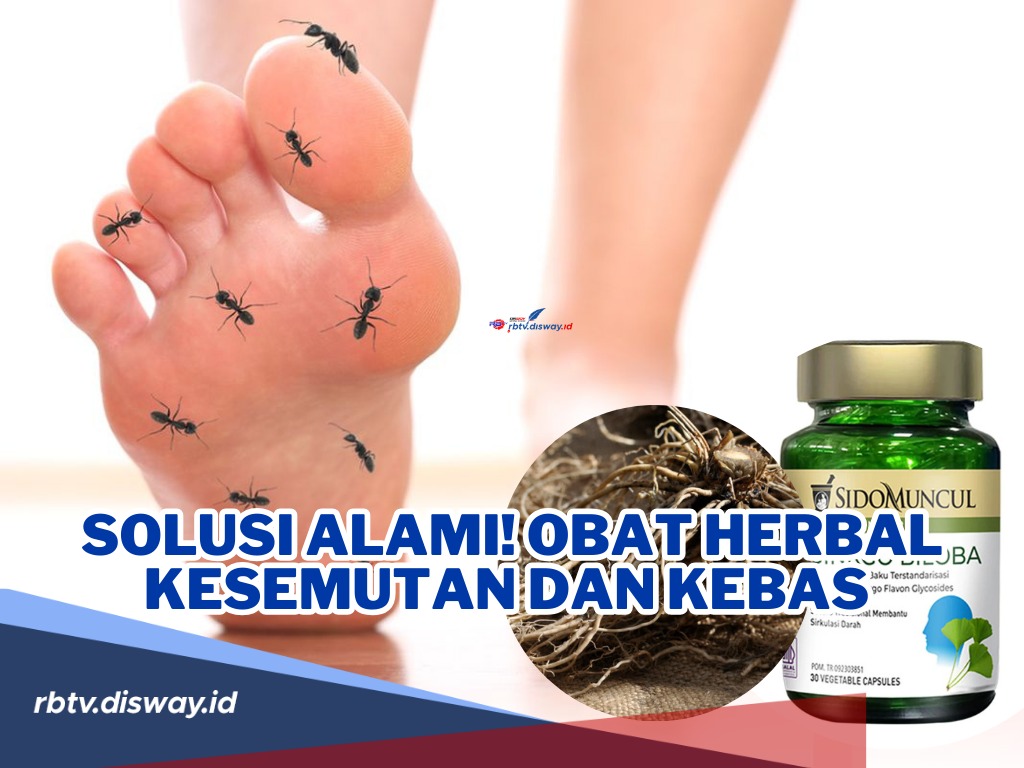 Solusi Alami, 8 Obat Herbal Kesemutan dan Kebas yang Dapat Kamu Coba!