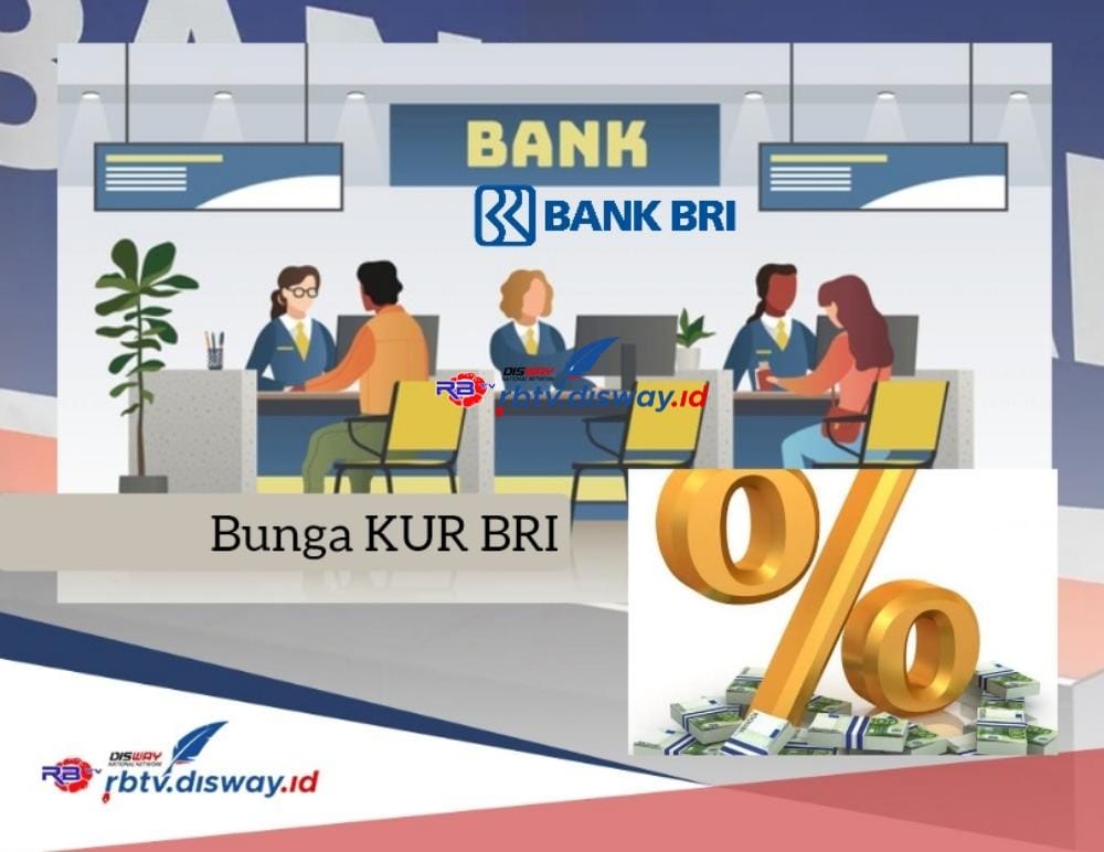 Bunga KUR BRI 2024 Terbaru, Plafon Pinjaman Rp 15 Juta Cicilan Ringan, Asal Punya Usaha Pinjaman Cair 