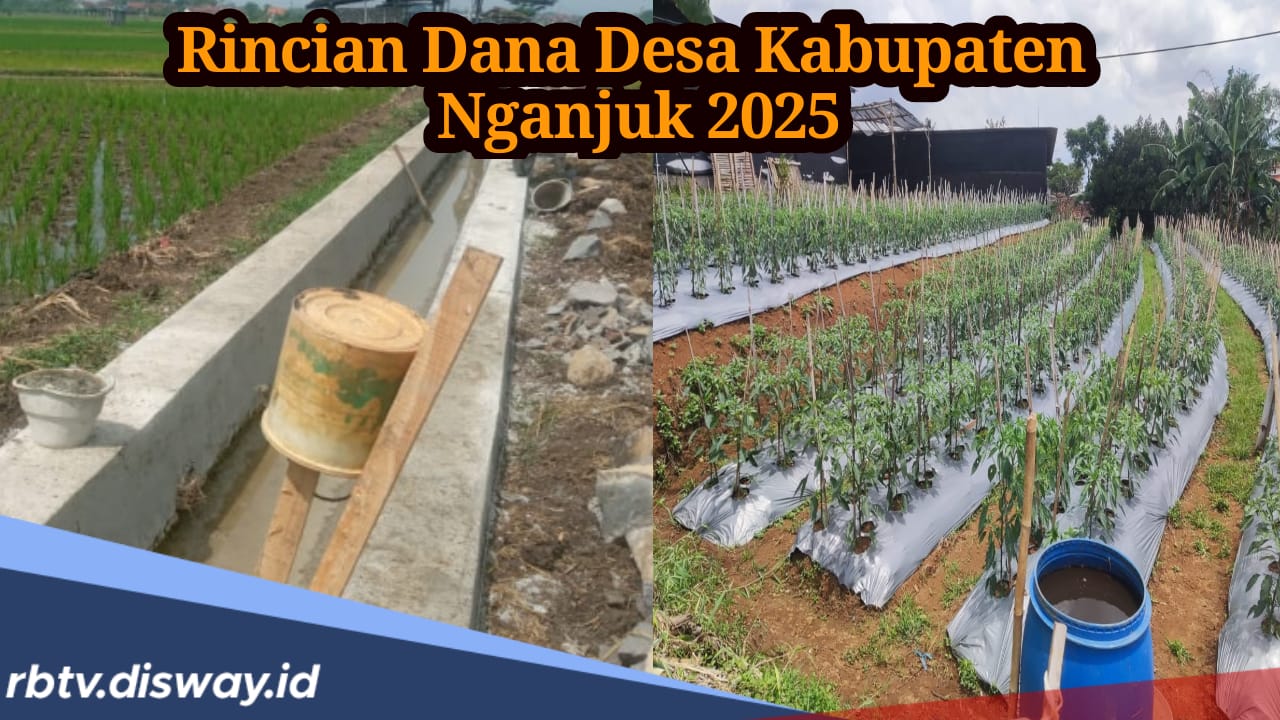 Rincian Dana Desa Kabupaten Nganjuk 2025, Berapa Jumlah Desa yang Dapat Anggaran hingga Rp 1 Miliar?