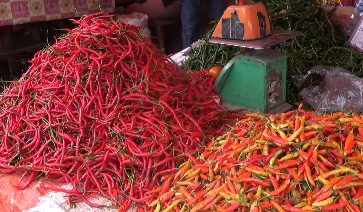 Cuaca Kurang Bersahabat, Petani Cabai di Lebong Meradang, Berharap Harga Naik