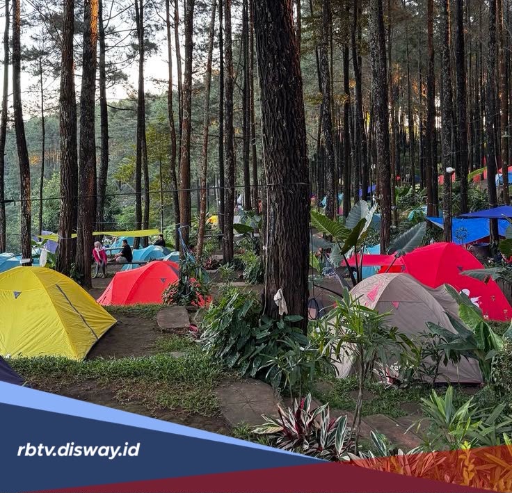 Rekomendasi Spot Camping Akhir Pekan Terbaik di Jambi