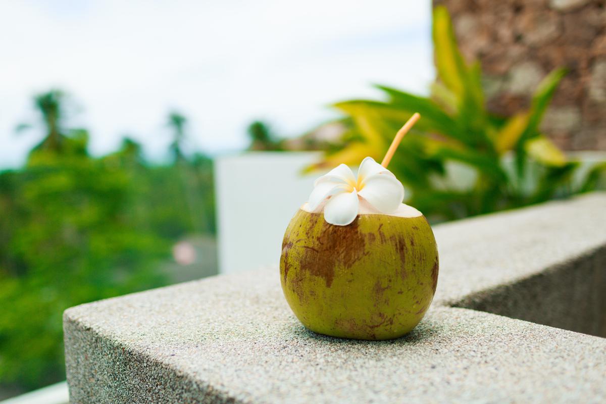 Walaupun Banyak Manfaatnya, Minum Air Kelapa juga Harus Pakai Aturan, Ada Risiko Gangguan Ginjal