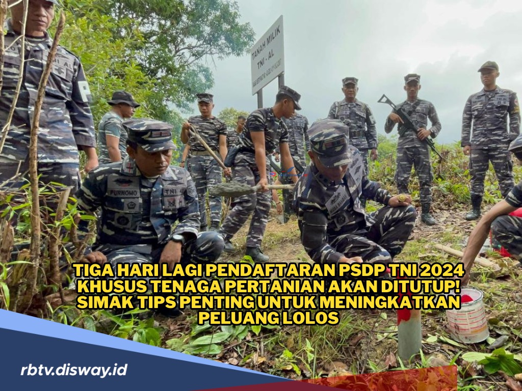 Tips Lolos Rekrutmen PSDP TNI 2024 Khusus Tenaga Pertanian, Persiapkan Dirimu dari Sekarang