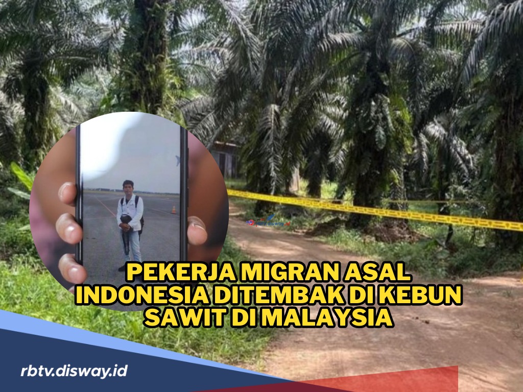 Pekerja Migran Indonesia Ditembak di Kebun Sawit di Malaysia, Ini Kronologi dan Identitasnya