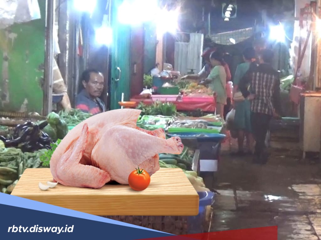 Harga Ayam Potong di Bengkulu Sempat Anjlok, Rp 18 Ribu per Kg, Cabai dan Bawang  Masih Tinggi
