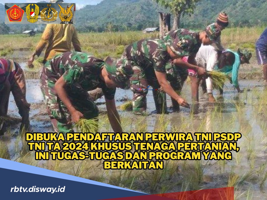 Dibuka Pendaftaran Perwira TNI PSDP TA 2024 Khusus Tenaga Pertanian, Ini Tugas-tugasnya