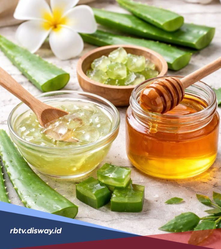 Cara Mengembalikan Kelembapan Kulit Tangan Kering dengan Bahan Alami