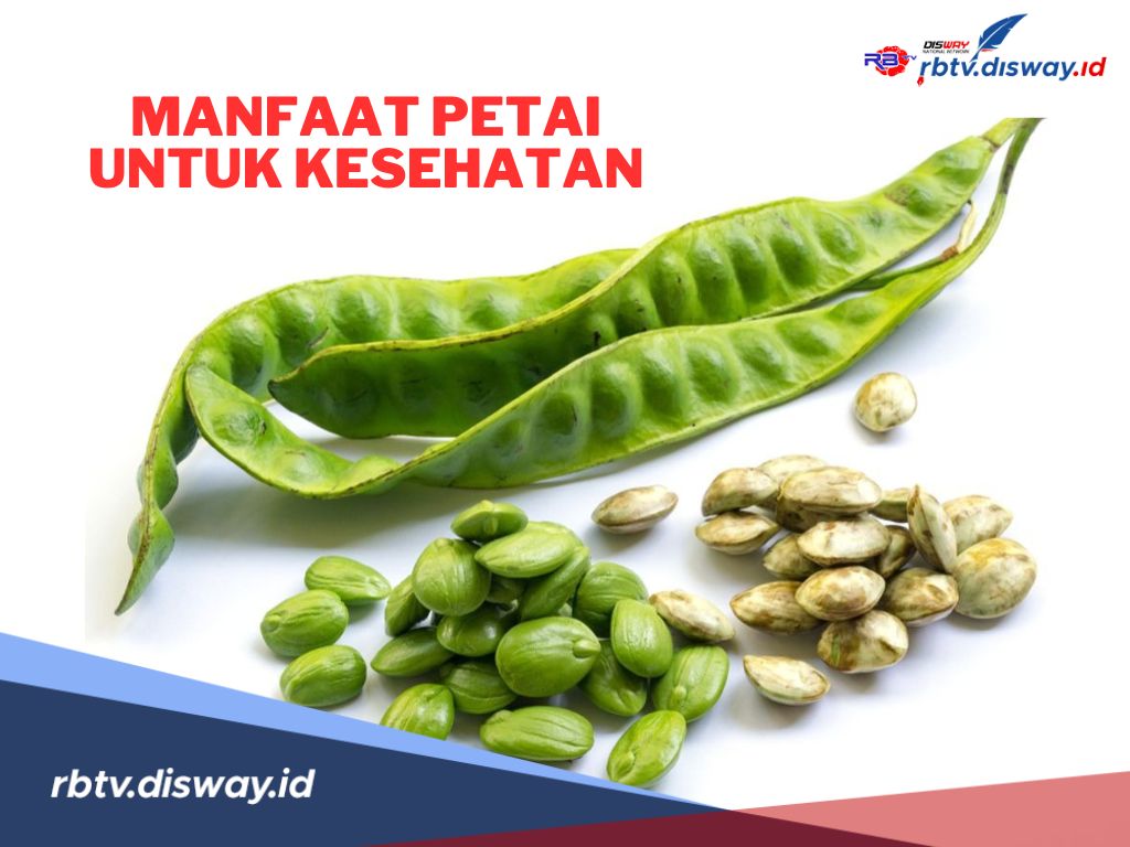 Suka Makan Petai? Ini 9 Manfaatnya untuk Kesehatan Tubuh 