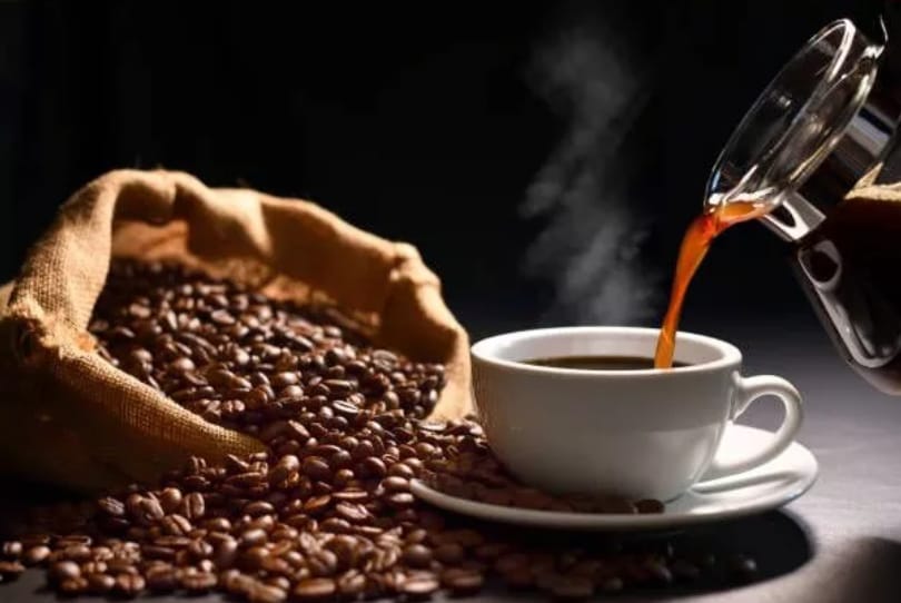 Pengopi Bengkulu Harus Tahu, Ini 7 Daerah Penghasil Kopi Terbaik di Indonesia, Nomor 3 Queen of Coffee