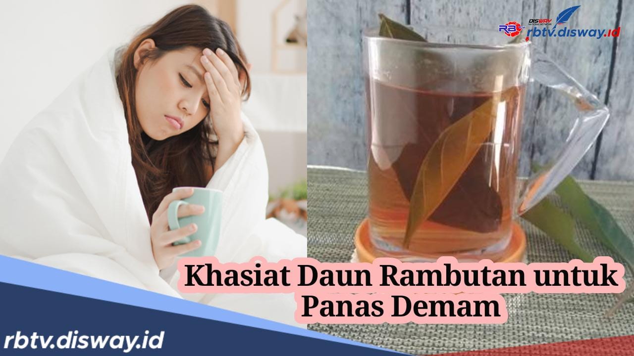 Cukup Direbus lalu Diminum, Ternyata Khasiat Daun Rambutan Bisa Turunkan Demam Panas 