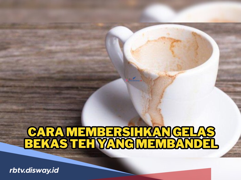 Ngga Usah Bingung, Begini Cara Membersihkan Noda Teh di Gelas, Yuk Dicoba!