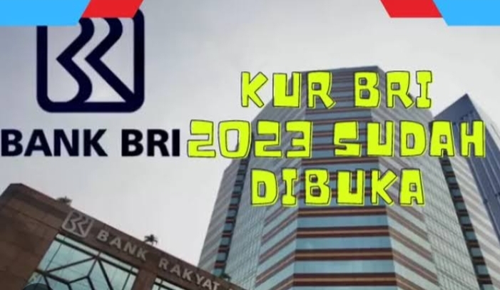 Cepat Cair! UMKM Penuhi 4 Kriteria Ini Gampang Pinjam KUR BRI 2023, Berikut Syaratnya