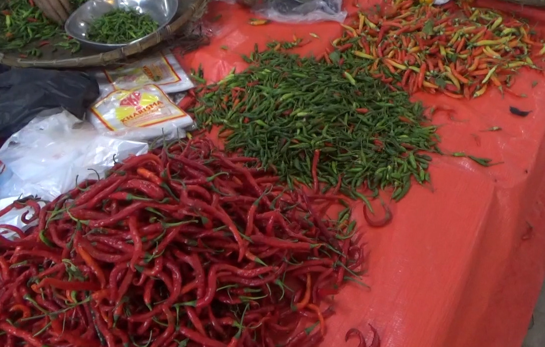 Harga Cabai Merah di Bengkulu Utara Masih Tinggi, Sempat Tembus Rp 70 Ribu per Kilogram 