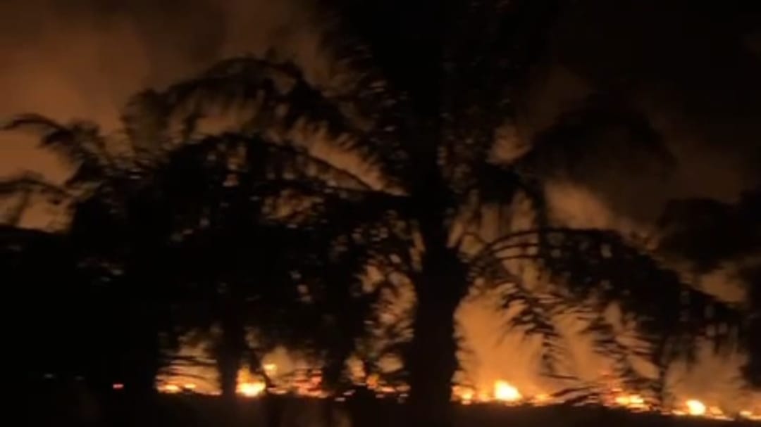 Lahan Perkebunan Sawit di Pasar Seluma Terbakar