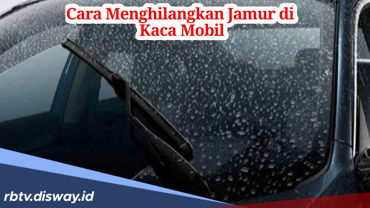 Cara Menghilangkan Jamur Kaca Mobil tanpa Harus ke Bengkel, Mudah Dilakukan di Rumah