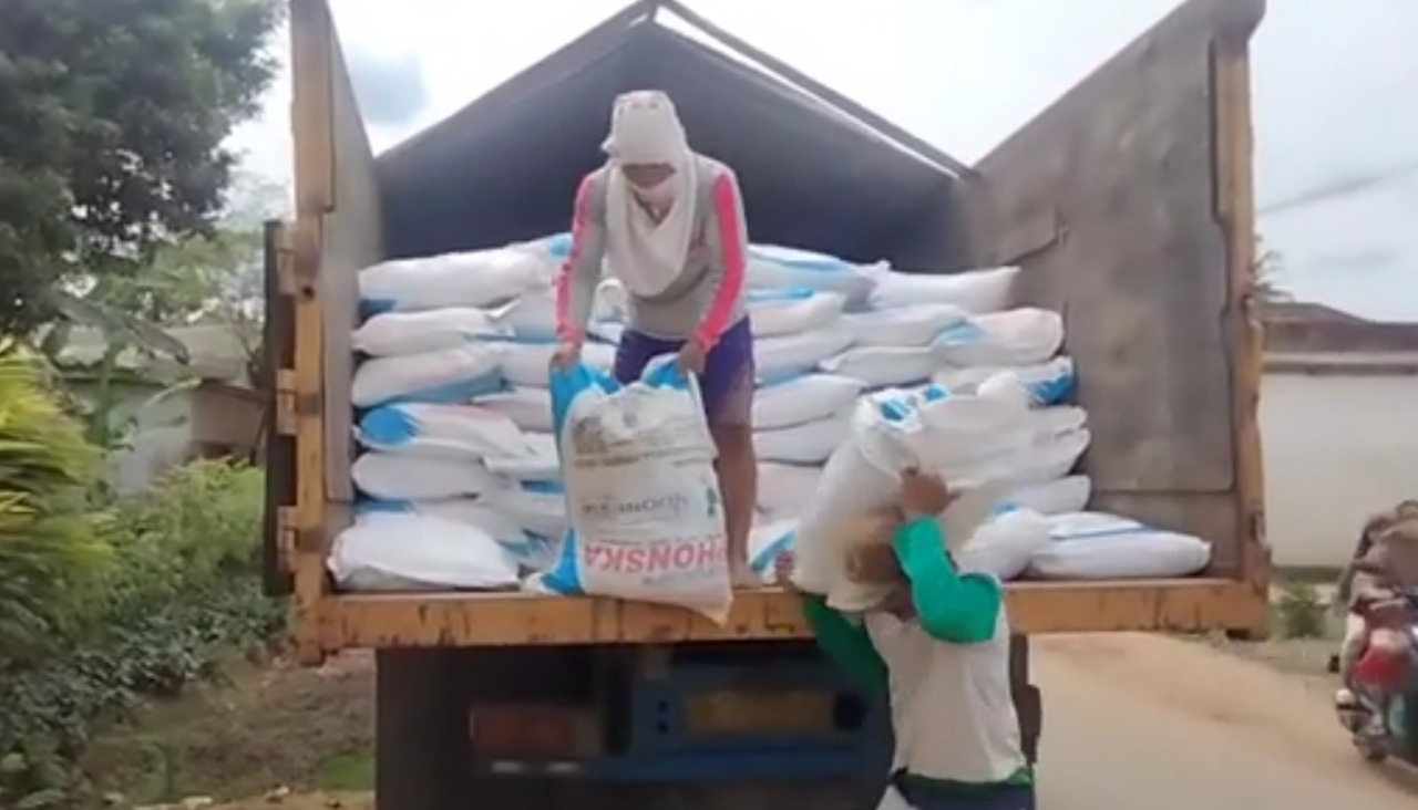 Pupuk Subsidi di Seluma Capai 5.500 Ton, Didistribusikan ke 36 Kios Resmi