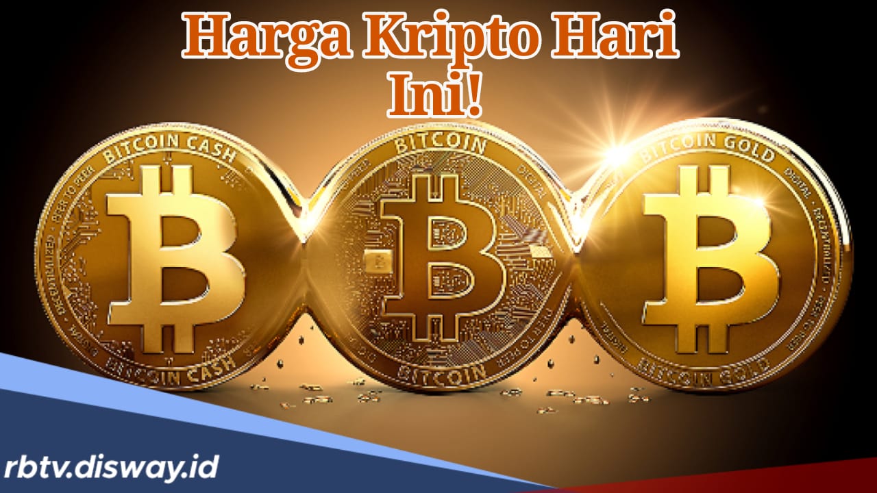 Harga Kripto Hari Ini 14 November 2024, Bitcoin Turun Jadi Segini