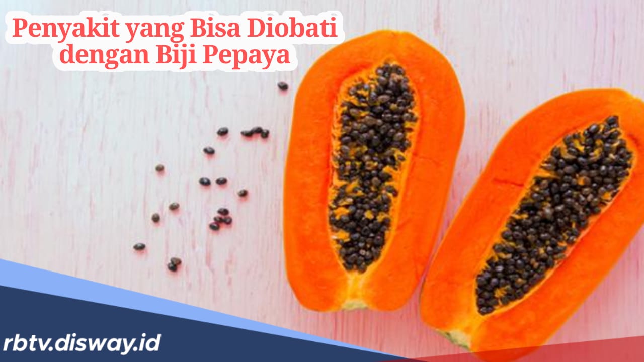 Jangan Langsung Dibuang, Biji Pepaya Bisa Jadi Obat untuk Penyakit Jenis Ini 