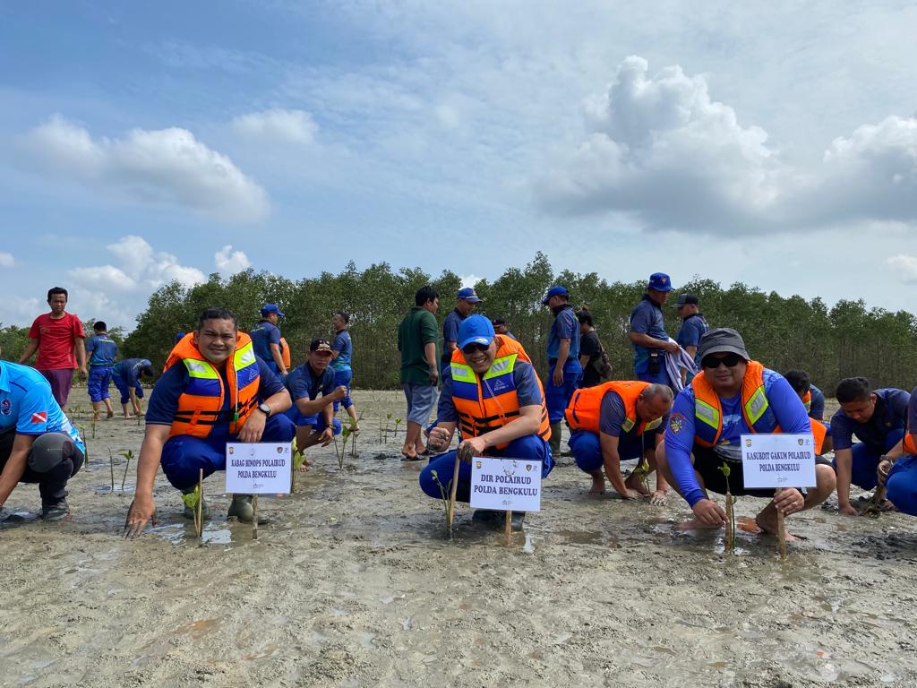 Peringati HUT ke 73, Ditpolairud Polda Bengkulu Tanam 2 ribu batang Mangrove di Pantai Jenggalu 