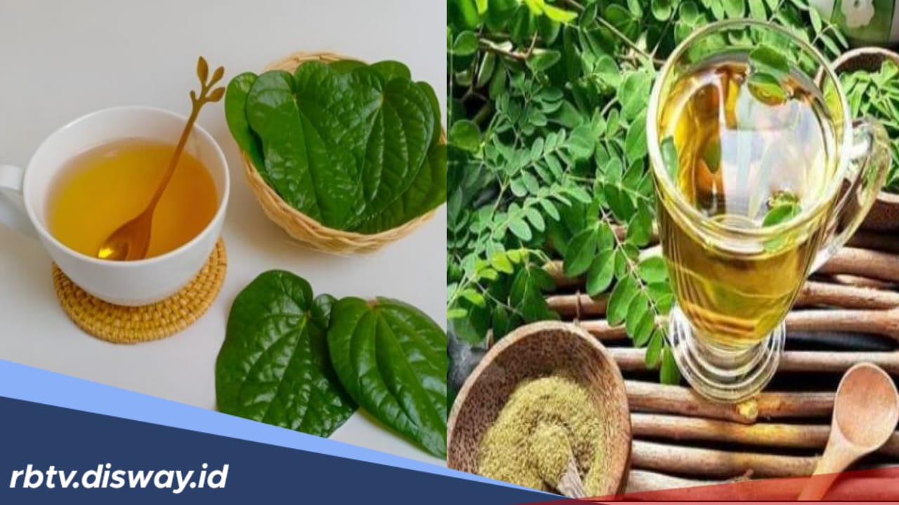 Air Rebusan 3 Jenis Daun Ini Dipercaya Mengatasi Penyakit Asam Lambung