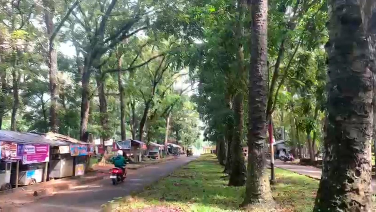 Taman Remaja Bakal Disulap Jadi Taman Merah Putih, Disediakan Jogging Track 