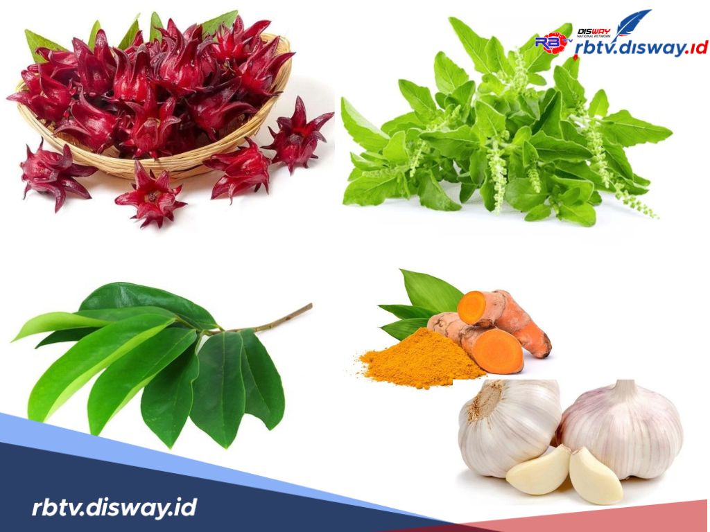 Lawan Angin Duduk Cara Alami, Ini 6 Tanaman Obat yang Bisa Bantu Ringankan Nyeri Dada