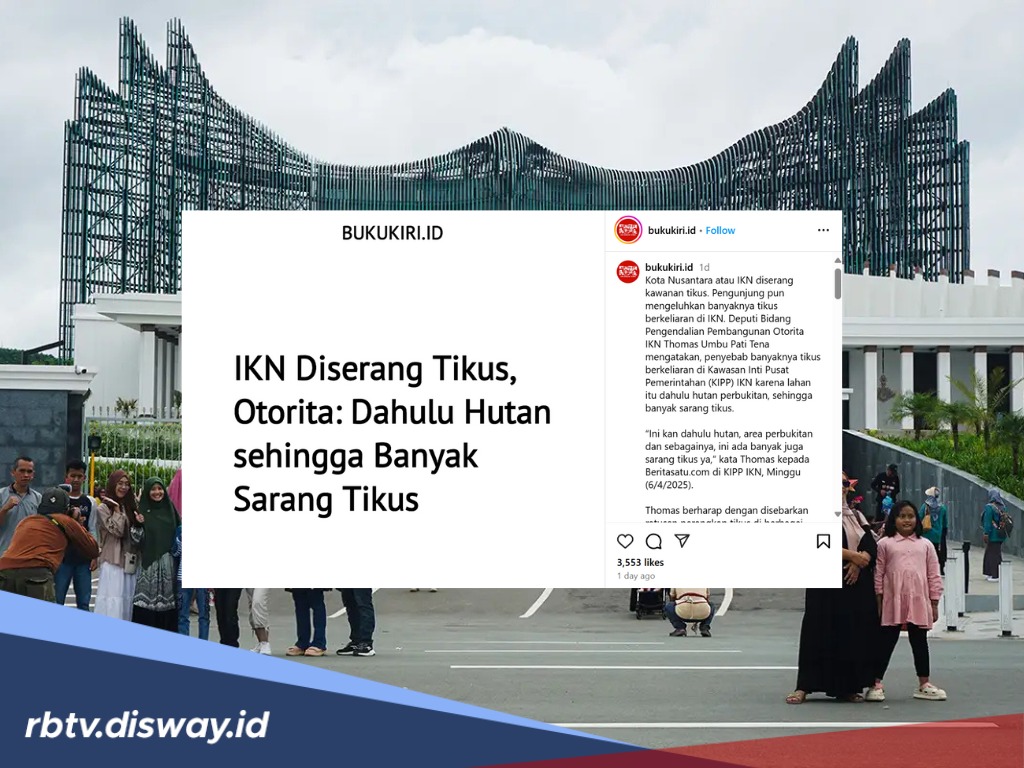 Heboh Libur Lebaran di IKN Pengunjung Kejar-kejaran dengan Tikus, Kok Bisa?