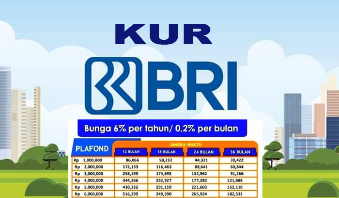 KUR BRI untuk PNS Tertentu, Bisa Pinjam hingga Rp 300 Juta Asalkan Memenuhi Syarat Berikut 