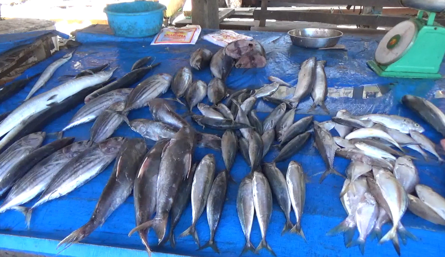 Harga Ikan Laut Melonjak di Pasar Purwodadi, Pedagang Kesulitan Jual ke Pembeli
