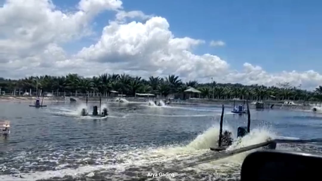 PLT. Kepala Disnakertrans Seluma Usulkan Pencabutan Izin Usaha PT. MTS, Ini Alasannya