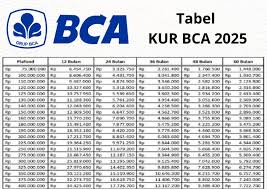 KUR BCA 2025 Tanpa Jaminan, Cek Tabel Angsuran Pinjaman Rp 25 Juta