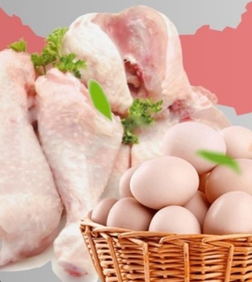 Bulan Ini, 1,4 Juta Keluarga Dapat.1 Kg Daging Ayam dan 10 Butir Telur 