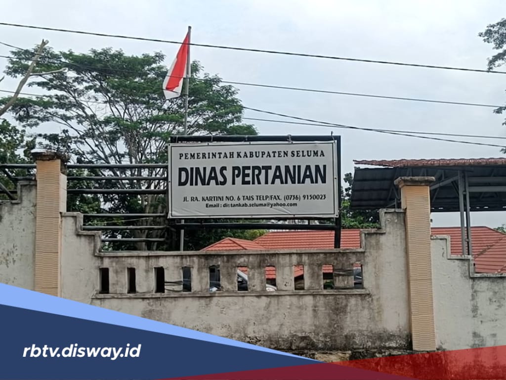 Penuhi Persyaratannya dan Dapatkan Beasiswa SDM Sawit 2025, Tersedia 4.000 Kuota Pendaftaran 