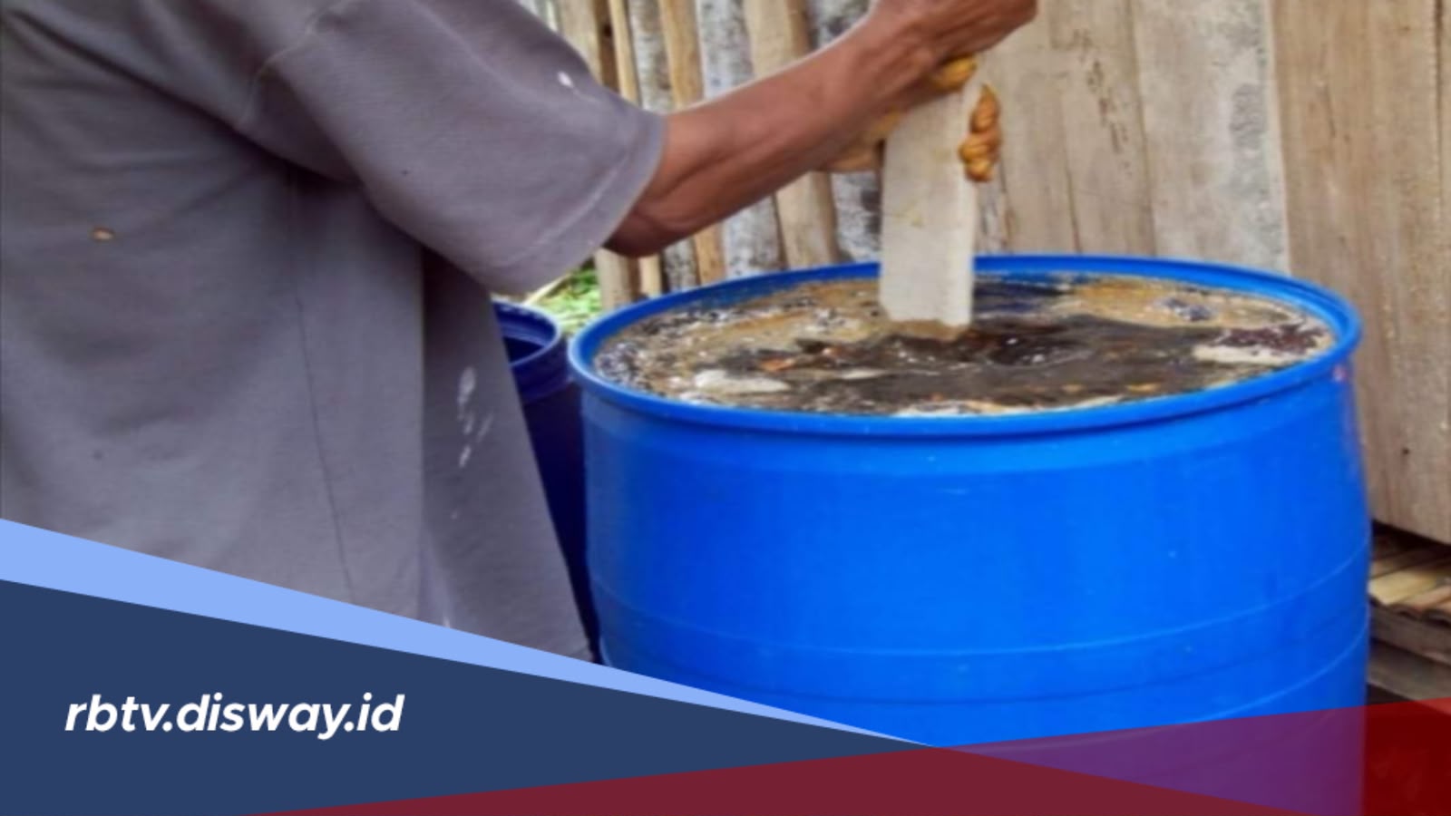 Cara Membuat Pupuk Organik Cair Sendiri untuk Melebatkan Buah Kelapa Sawit di Lahan Gambut